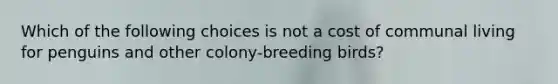 Which of the following choices is not a cost of communal living for penguins and other colony-breeding birds?