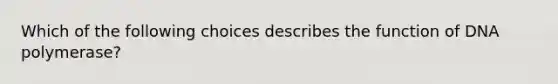 Which of the following choices describes the function of DNA polymerase?