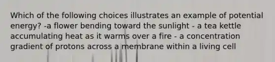 Which of the following choices illustrates an example of potential energy? -a flower bending toward the sunlight - a tea kettle accumulating heat as it warms over a fire - a concentration gradient of protons across a membrane within a living cell