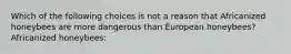 Which of the following choices is not a reason that Africanized honeybees are more dangerous than European honeybees? Africanized honeybees: