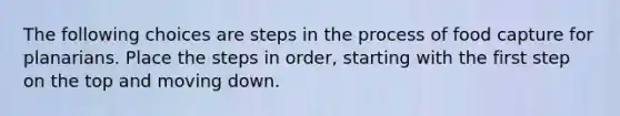 The following choices are steps in the process of food capture for planarians. Place the steps in order, starting with the first step on the top and moving down.