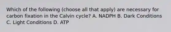 Which of the following (choose all that apply) are necessary for carbon fixation in the Calvin cycle? A. NADPH B. Dark Conditions C. Light Conditions D. ATP