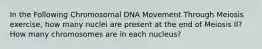 In the Following Chromosomal DNA Movement Through Meiosis exercise, how many nuclei are present at the end of Meiosis II? How many chromosomes are in each nucleus?