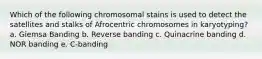 Which of the following chromosomal stains is used to detect the satellites and stalks of Afrocentric chromosomes in karyotyping? a. Giemsa Banding b. Reverse banding c. Quinacrine banding d. NOR banding e. C-banding