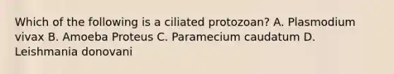 Which of the following is a ciliated protozoan? A. Plasmodium vivax B. Amoeba Proteus C. Paramecium caudatum D. Leishmania donovani