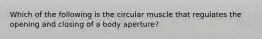 Which of the following is the circular muscle that regulates the opening and closing of a body aperture?