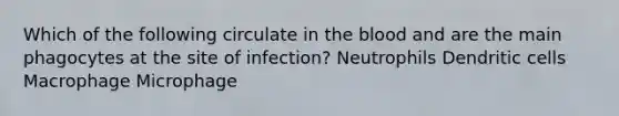 Which of the following circulate in the blood and are the main phagocytes at the site of infection? Neutrophils Dendritic cells Macrophage Microphage