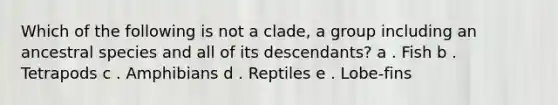 Which of the following is not a clade, a group including an ancestral species and all of its descendants? a . Fish b . Tetrapods c . Amphibians d . Reptiles e . Lobe-fins