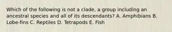 Which of the following is not a clade, a group including an ancestral species and all of its descendants? A. Amphibians B. Lobe-fins C. Reptiles D. Tetrapods E. Fish