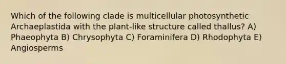 Which of the following clade is multicellular photosynthetic Archaeplastida with the plant-like structure called thallus? A) Phaeophyta B) Chrysophyta C) Foraminifera D) Rhodophyta E) Angiosperms