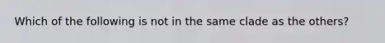 Which of the following is not in the same clade as the others?