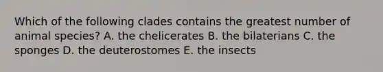 Which of the following clades contains the greatest number of animal species? A. the chelicerates B. the bilaterians C. the sponges D. the deuterostomes E. the insects