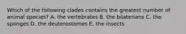 Which of the following clades contains the greatest number of animal species? A. the vertebrates B. the bilaterians C. the sponges D. the deuterostomes E. the insects