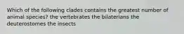 Which of the following clades contains the greatest number of animal species? the vertebrates the bilaterians the deuterostomes the insects