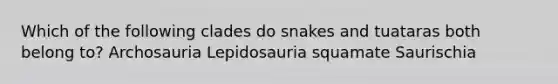 Which of the following clades do snakes and tuataras both belong to? Archosauria Lepidosauria squamate Saurischia