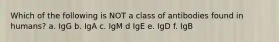 Which of the following is NOT a class of antibodies found in humans? a. IgG b. IgA c. IgM d IgE e. IgD f. IgB