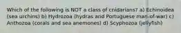 Which of the following is NOT a class of cnidarians? a) Echinoidea (sea urchins) b) Hydrozoa (hydras and Portuguese man-of-war) c) Anthozoa (corals and sea anemones) d) Scyphozoa (jellyfish)