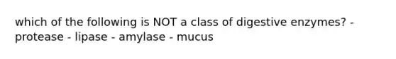 which of the following is NOT a class of digestive enzymes? - protease - lipase - amylase - mucus