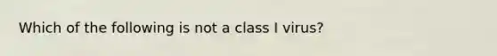 Which of the following is not a class I virus?