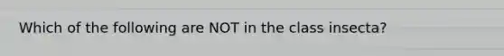 Which of the following are NOT in the class insecta?