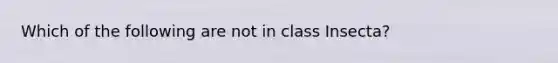 Which of the following are not in class Insecta?