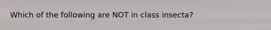 Which of the following are NOT in class insecta?