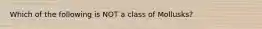 Which of the following is NOT a class of Mollusks?