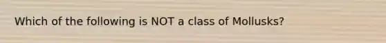 Which of the following is NOT a class of Mollusks?