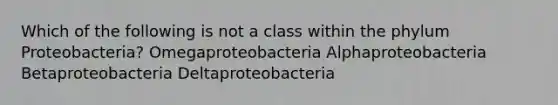 Which of the following is not a class within the phylum Proteobacteria? Omegaproteobacteria Alphaproteobacteria Betaproteobacteria Deltaproteobacteria