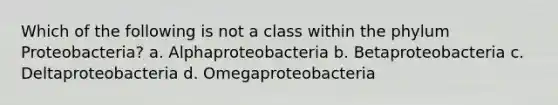 Which of the following is not a class within the phylum Proteobacteria? a. Alphaproteobacteria b. Betaproteobacteria c. Deltaproteobacteria d. Omegaproteobacteria