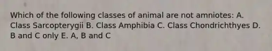 Which of the following classes of animal are not amniotes: A. Class Sarcopterygii B. Class Amphibia C. Class Chondrichthyes D. B and C only E. A, B and C