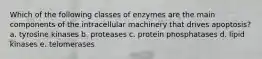 Which of the following classes of enzymes are the main components of the intracellular machinery that drives apoptosis? a. tyrosine kinases b. proteases c. protein phosphatases d. lipid kinases e. telomerases