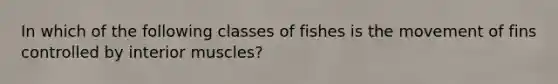 In which of the following classes of fishes is the movement of fins controlled by interior muscles?