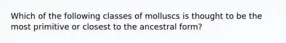 Which of the following classes of molluscs is thought to be the most primitive or closest to the ancestral form?