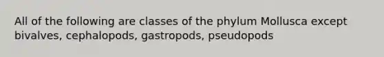 All of the following are classes of the phylum Mollusca except bivalves, cephalopods, gastropods, pseudopods