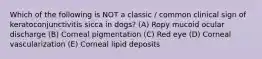 Which of the following is NOT a classic / common clinical sign of keratoconjunctivitis sicca in dogs? (A) Ropy mucoid ocular discharge (B) Corneal pigmentation (C) Red eye (D) Corneal vascularization (E) Corneal lipid deposits