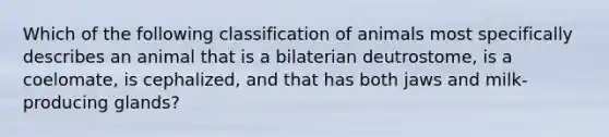 Which of the following classification of animals most specifically describes an animal that is a bilaterian deutrostome, is a coelomate, is cephalized, and that has both jaws and milk-producing glands?