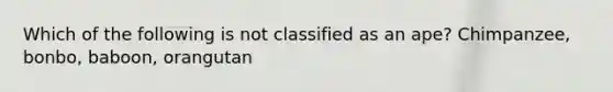 Which of the following is not classified as an ape? Chimpanzee, bonbo, baboon, orangutan