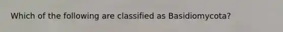 Which of the following are classified as Basidiomycota?