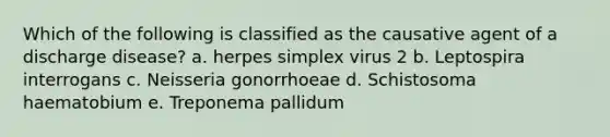 Which of the following is classified as the causative agent of a discharge disease? a. herpes simplex virus 2 b. Leptospira interrogans c. Neisseria gonorrhoeae d. Schistosoma haematobium e. Treponema pallidum