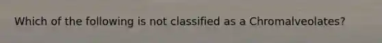 Which of the following is not classified as a Chromalveolates?