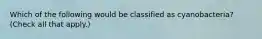 Which of the following would be classified as cyanobacteria? (Check all that apply.)