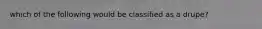 which of the following would be classified as a drupe?