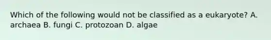 Which of the following would not be classified as a eukaryote? A. archaea B. fungi C. protozoan D. algae