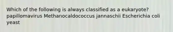 Which of the following is always classified as a eukaryote? papillomavirus Methanocaldococcus jannaschii Escherichia coli yeast