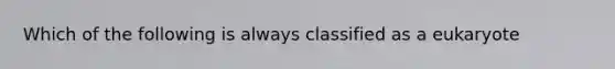 Which of the following is always classified as a eukaryote