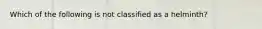 Which of the following is not classified as a helminth?