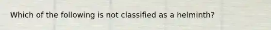 Which of the following is not classified as a helminth?