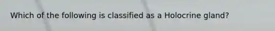 Which of the following is classified as a Holocrine gland?
