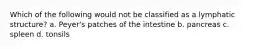 Which of the following would not be classified as a lymphatic structure? a. Peyer's patches of the intestine b. pancreas c. spleen d. tonsils
